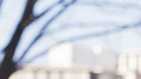 Tom Homan, designado zar fronterizo