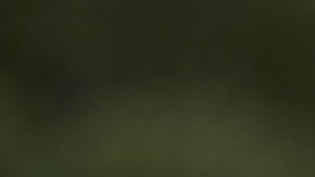 Tom Homan, zar fronterizo