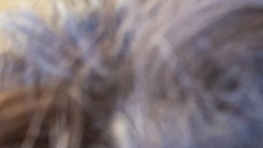 Inyecciones mensuales contra el asma, un tratamiento alternativo a los esteroides diarios