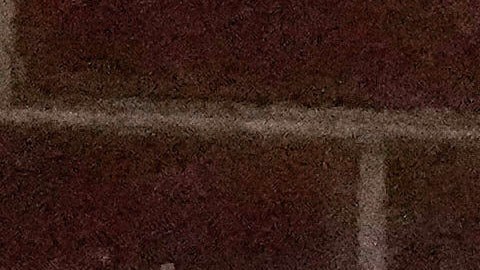 People cheer speakers during a campaign event on Proposition 50 in San Francisco, Monday, Nov. 3, 2025. (AP Photo/Jeff Chiu)