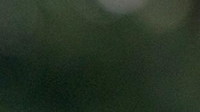 Troy Nehls, representante por Texas