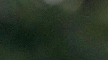 Troy Nehls, representante por Texas