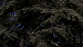 FILE - In this March 11, 2020, file photo, people wear masks while walking past Wheeler Hall on the University of California campus in Berkeley, Calif. California State University will require students, faculty and staff at its 23 campuses to get COVID-19 booster shots for the spring semester amid concerns about the highly contagious omicron variant. The mandate, which allows for medical and religious exemptions, requires the boosters by Feb. 28, or six months after the final dose of vaccination. (AP Photo/Jeff Chiu, File)