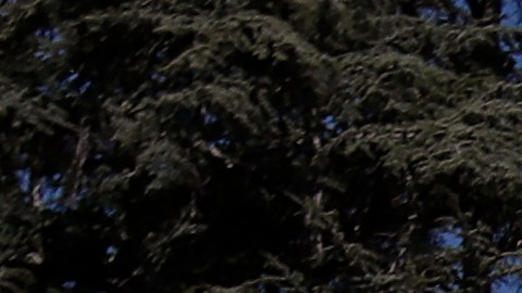 FILE - In this March 11, 2020, file photo, people wear masks while walking past Wheeler Hall on the University of California campus in Berkeley, Calif. California State University will require students, faculty and staff at its 23 campuses to get COVID-19 booster shots for the spring semester amid concerns about the highly contagious omicron variant. The mandate, which allows for medical and religious exemptions, requires the boosters by Feb. 28, or six months after the final dose of vaccination. (AP Photo/Jeff Chiu, File)