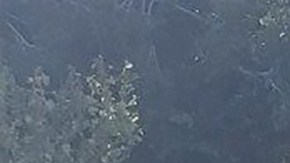 Violencia en Sinaloa