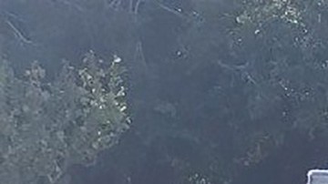 Violencia en Sinaloa