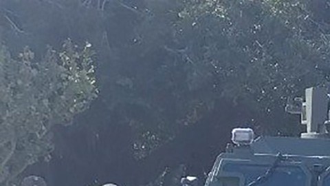 Violencia en Sinaloa