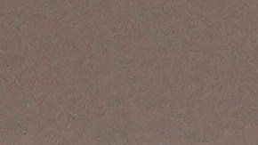 Rumores afirman que Zendaya no quiere estar "al lado" de Sydney Sweeney