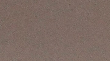 Rumores afirman que Zendaya no quiere estar "al lado" de Sydney Sweeney