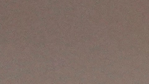 Rumores afirman que Zendaya no quiere estar "al lado" de Sydney Sweeney