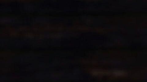 ‘Zootopia 2’ arrasa en taquilla y se posiciona como el cuarto mejor estreno global de la historia