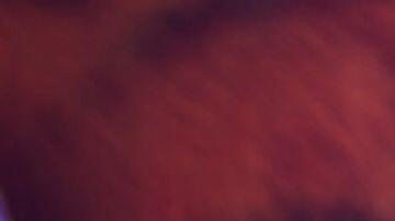 ‘Zootopia 2’ encabeza la taquilla con una recaudación inicial de 39,5 millones