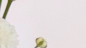 Guía para la abundancia