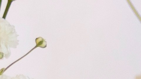 Guía para la abundancia