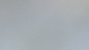 Los agentes lanzaron gas lacrimógeno y cortaron la puerta de la casa de la inmigrante hondureña, según su relato.