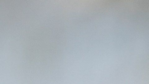 Los agentes lanzaron gas lacrimógeno y cortaron la puerta de la casa de la inmigrante hondureña, según su relato.