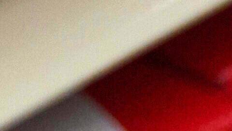 Además del actual cierre de gobierno, distintas voces culpan a los aranceles por el alza en los precios de alimentos y servicios.