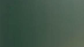 Suplementos en polvo de superalimentos verdes produjeron un brote de salmonela