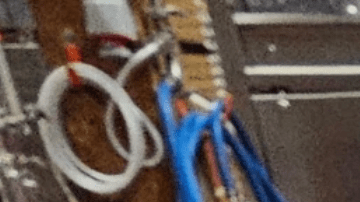 Industria de bebidas en vilo ante inminente prohibición federal de productos derivados de cáñamo