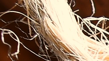 La canela en los rituales potencia la buena suerte.