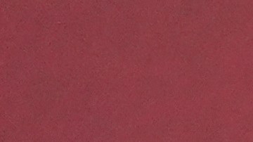 Carlos Rivera y Cynthia