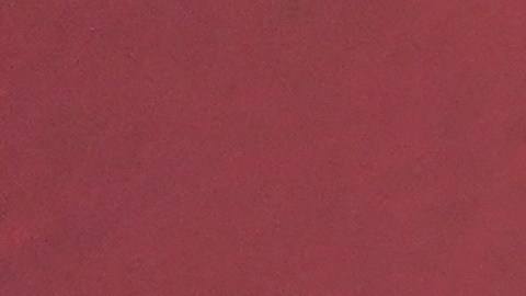 Carlos Rivera y Cynthia