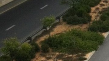 Alertan por riesgo en carretera de Monterrey.