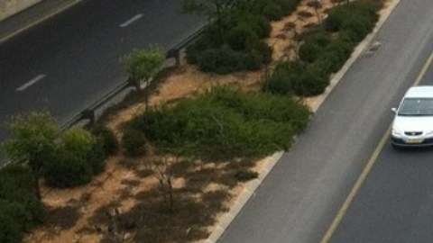 Alertan por riesgo en carretera de Monterrey.