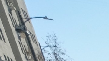 La iniciativa, que se ha consolidado como una tradición anual, entregará una comida caliente con pavo, completamente gratuita, así como artículos esenciales.