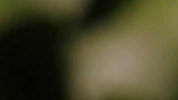 Cheque de estímulos de hasta $1,300: quiénes faltan por recibirlo