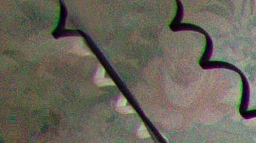 Mila se crió en Chicago y ahora vive entre esa ciudad y la capital mexicana