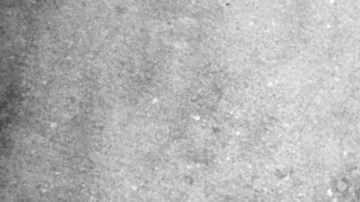 Algunos signos del horóscopo chino deberán esforzarse más esta semana.