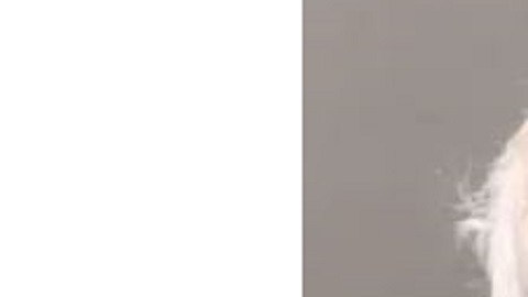 Al hombre le exigían $15,000 dólares en tarjetas de regalo de Apple a cambio de no divulgar fotos íntimas.