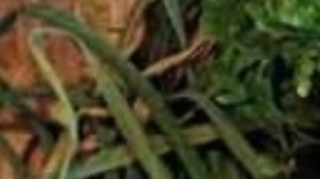 Dieta mediterránea combinada con ejercicio físico actúa como protectora contra la diabetes tipo 2