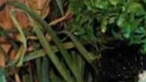 Dieta mediterránea combinada con ejercicio físico actúa como protectora contra la diabetes tipo 2