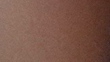 La semana pasada, Bondi anunció que el Departamento de Justicia estaba iniciando una nueva investigación sobre los archivos.