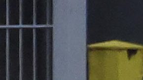 Erling Haaland celebra con sus compañeros uno de sus goles contra Italia.