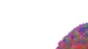 El cerebro humano recorre cinco etapas de vida: estudio revela que el modo adulto comienza a los 30 años