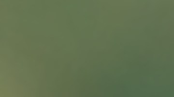 Mujer despierta en ataúd, la iban a cremar.