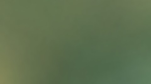 Mujer despierta en ataúd, la iban a cremar.