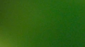 Reportan primera muerte relacionada con alergia a la carne causada por la picadura de una garrapata