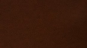 El Servicio de Ciudadanía e Inmigración (USCIS) cuenta con un procedimiento claro para solicitar un reemplazo y evitar complicaciones migratorias.