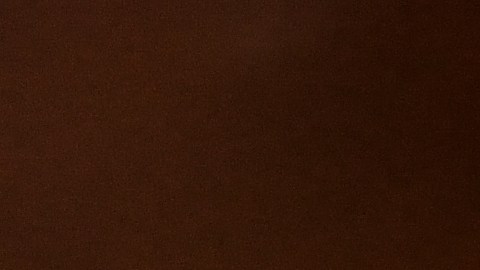 El Servicio de Ciudadanía e Inmigración (USCIS) cuenta con un procedimiento claro para solicitar un reemplazo y evitar complicaciones migratorias.