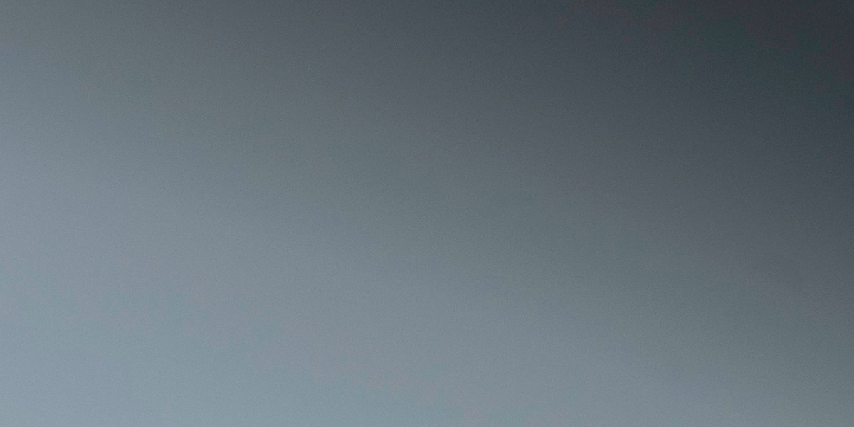 Según el USCIS, algunos países tienen una suspensión total de entrada y otros presentan restricciones parciales que incluye limitación de sus visas.