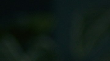 Hablar solo, únicamente es preocupante cuando está acompañado de síntomas como delirios o pérdida del sentido de la realidad.