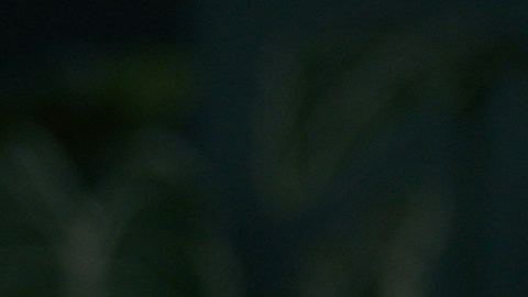 Hablar solo, únicamente es preocupante cuando está acompañado de síntomas como delirios o pérdida del sentido de la realidad.