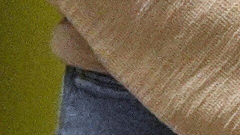 El DHS argumentó que la política de TPS para Haití era un imán para la inmigración ilegal.