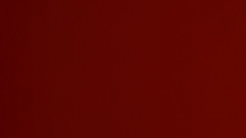 Gracias a sus rebajas por Black Friday, Home Depot se ha convertido en uno de los puntos más consultados de la temporada.