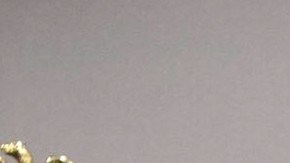 Durante el operativo, seis sospechosos fueron arrestados, indicaron las autoridades.