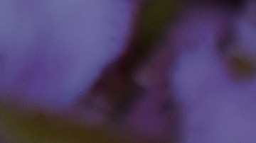 Los astros iluminan el aura de estos signos del zodiaco.